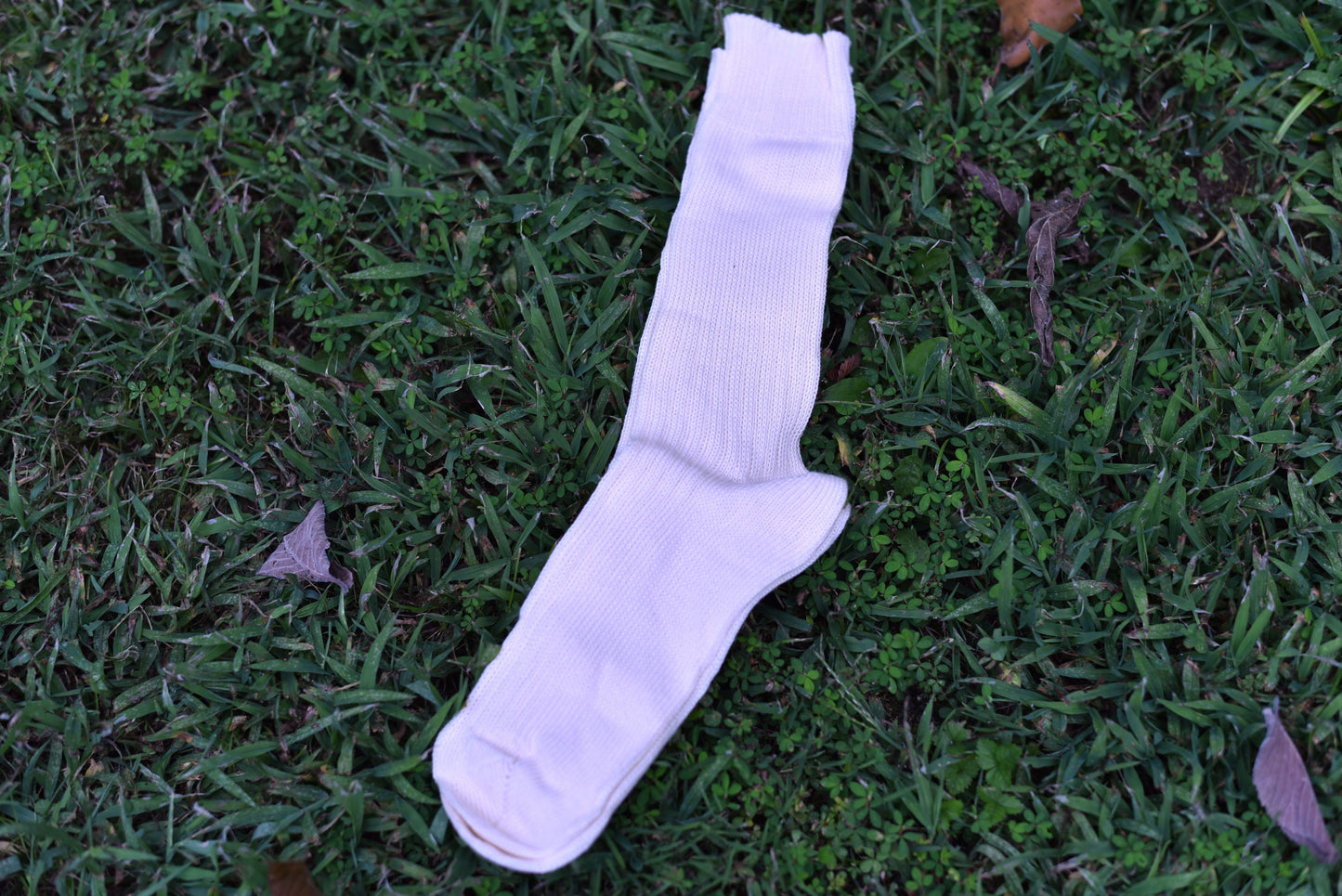 Organic Bio Cotton Socks